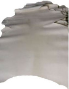 trislocene_hovezi_kuze.jpg