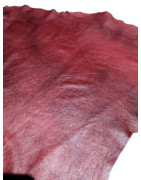 knihařská_červená_flekatá