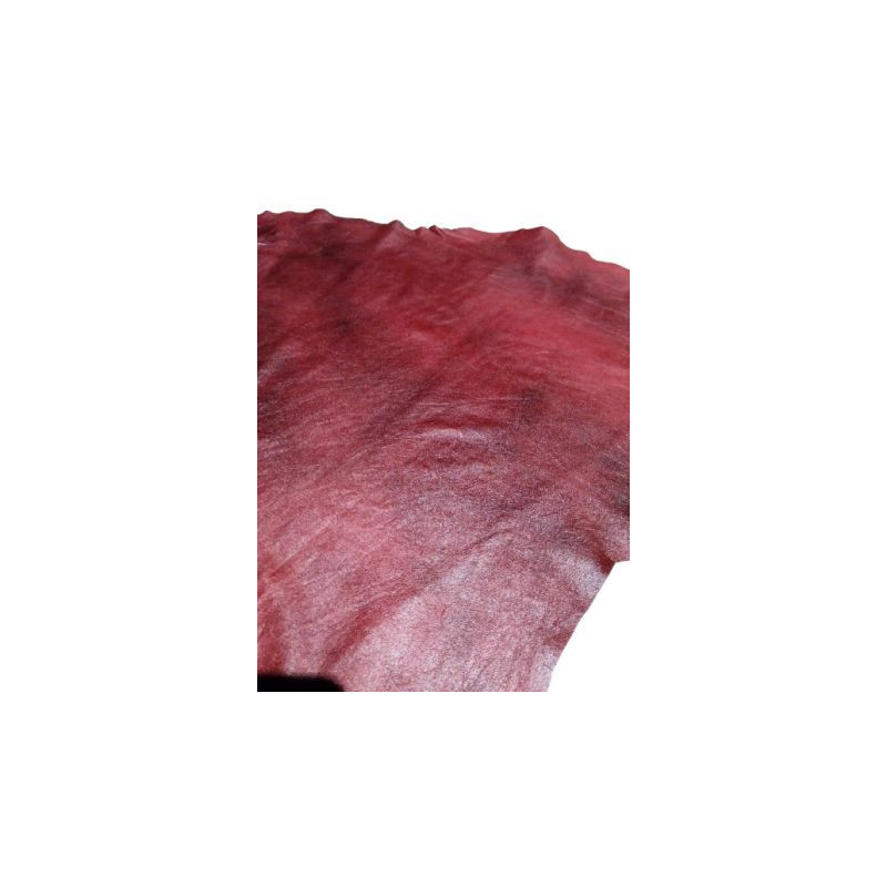 knihařská_červená_flekatá